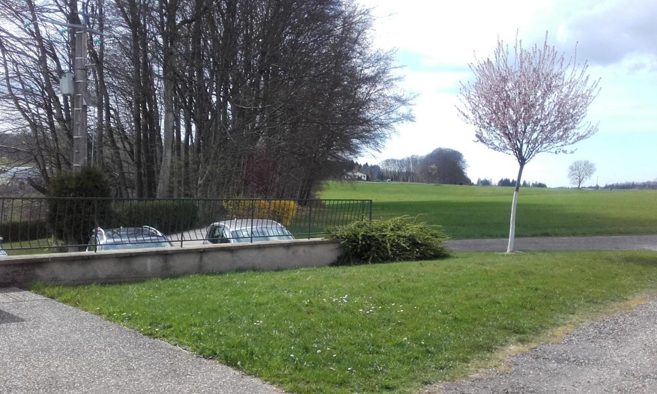 Gite Les Hirondelles Plombières-les-Bains Eksteriør billede