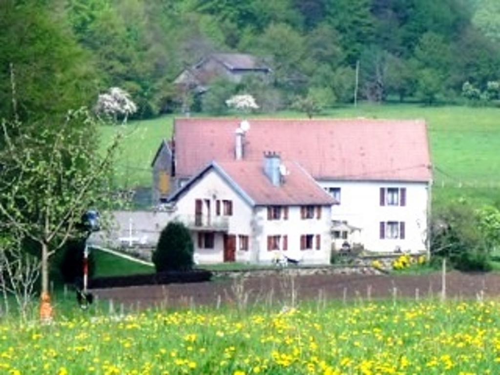Gite Les Hirondelles Plombières-les-Bains Eksteriør billede